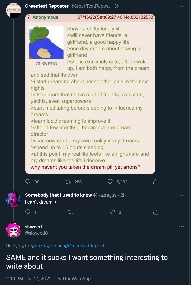 NPCs can't dream. Bottom poster has pronouns in bio. - Kotaku In Action ...